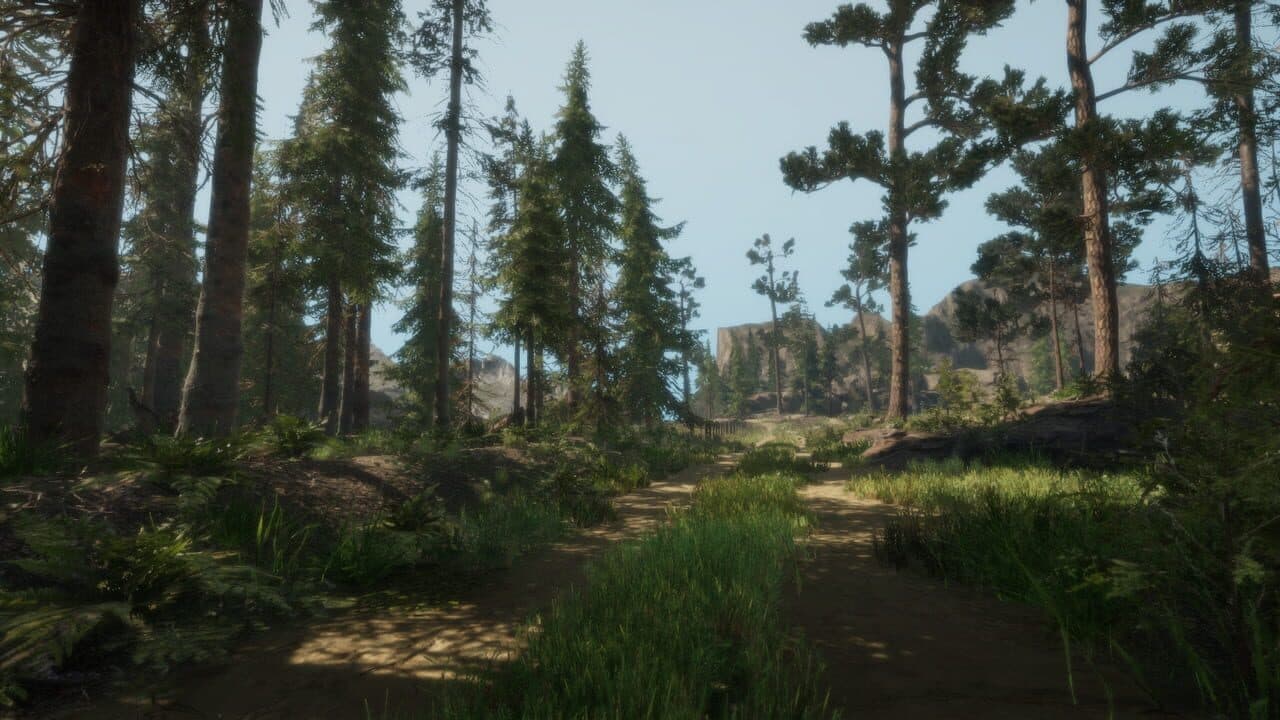 A Walk in the Woods: VR thumbnail 5