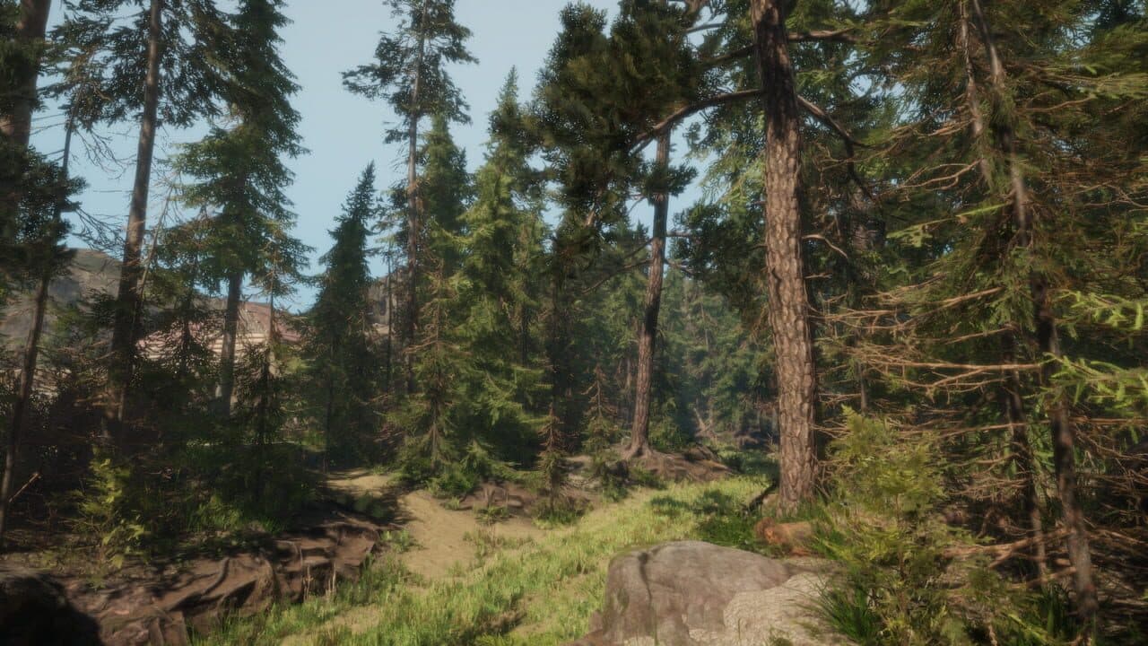 A Walk in the Woods: VR screenshot 1