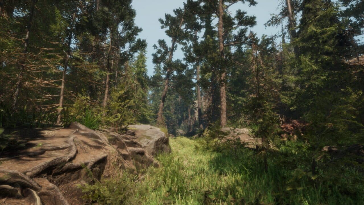 A Walk in the Woods: VR thumbnail 3