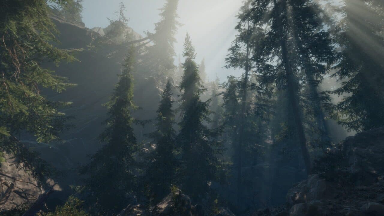 A Walk in the Woods: VR thumbnail 2