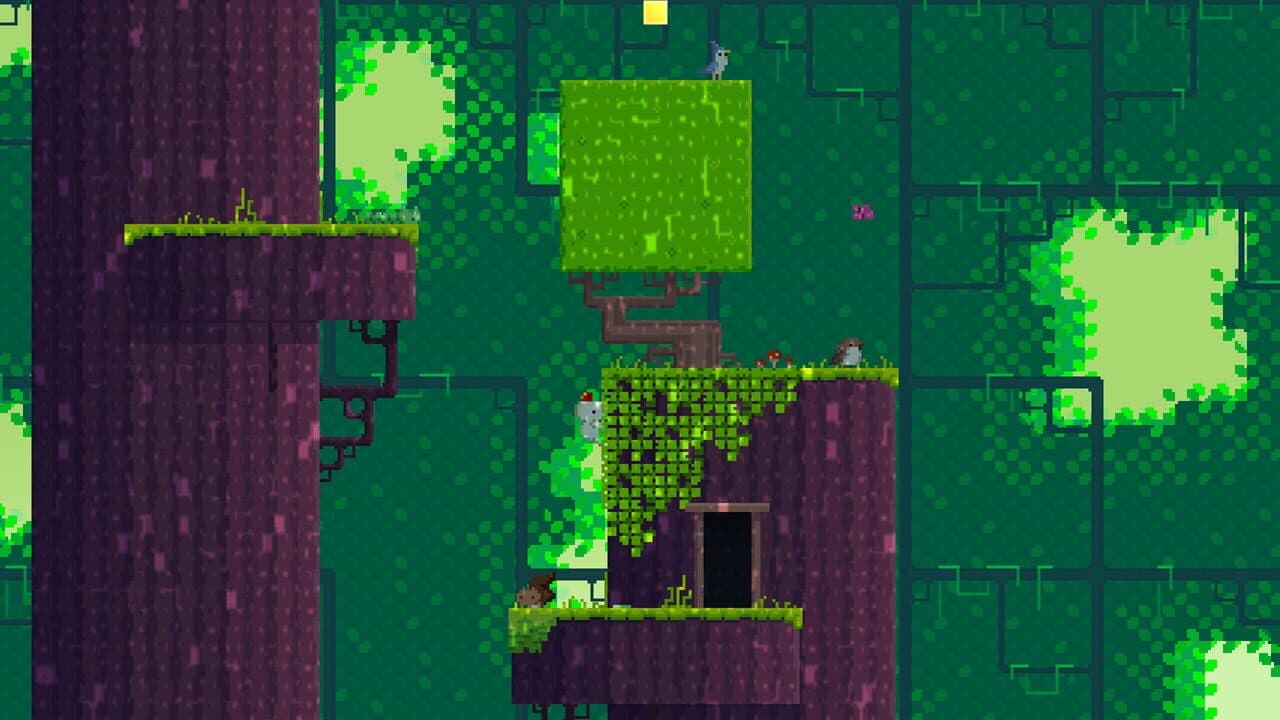 Fez thumbnail 8