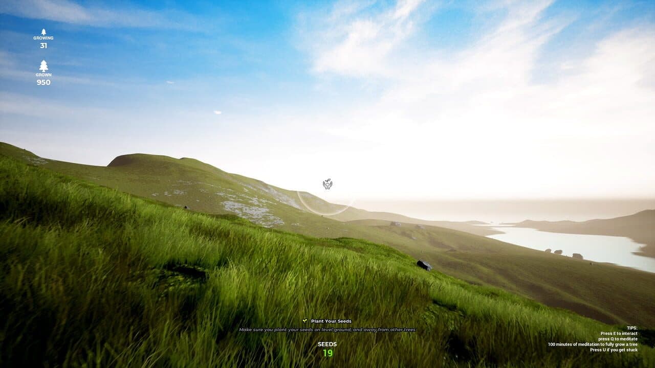 Playne thumbnail 2