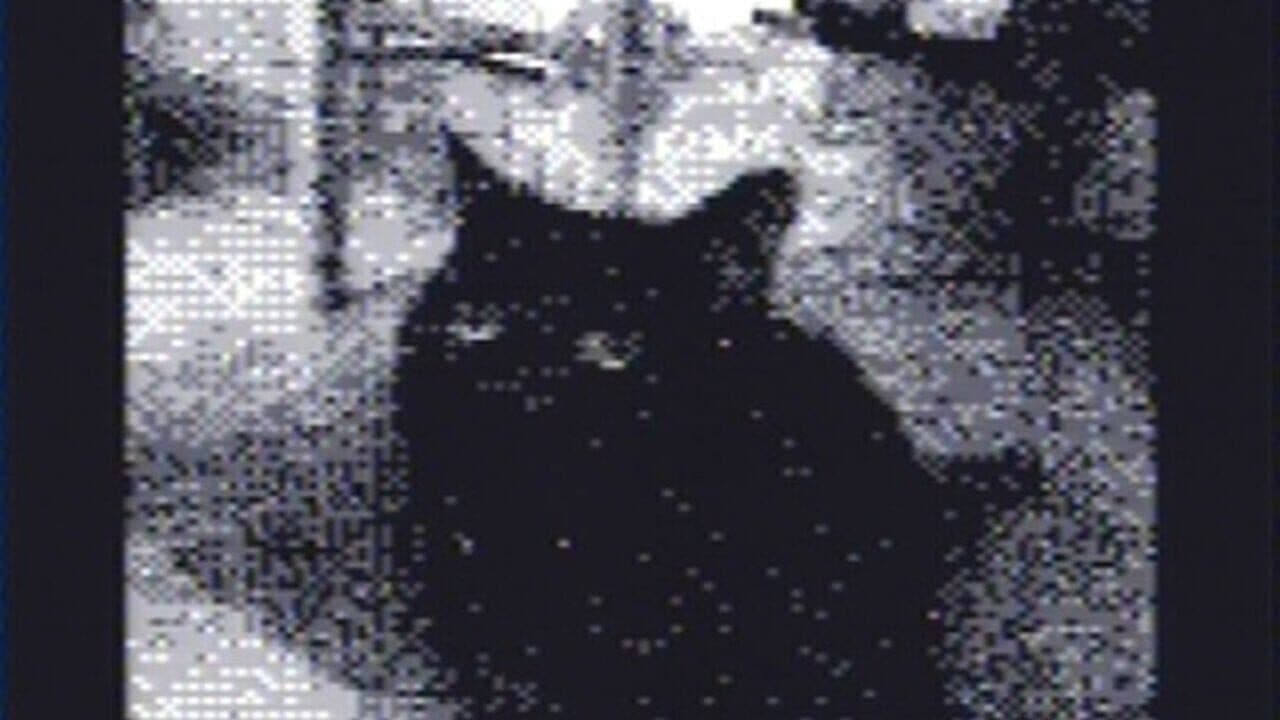 Game Boy Camera thumbnail 2
