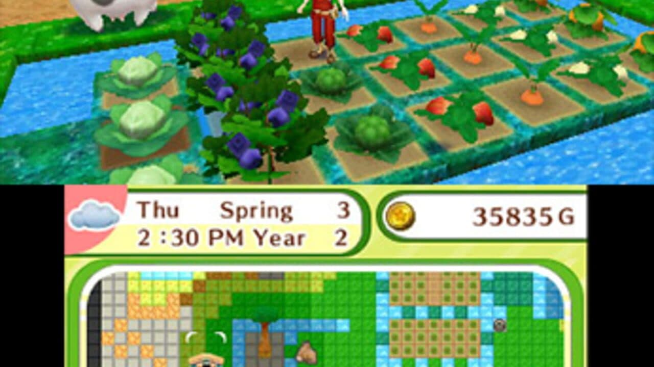 Harvest Moon: Skytree Village thumbnail 4