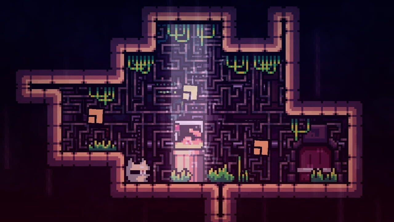 Reed 2 thumbnail 5