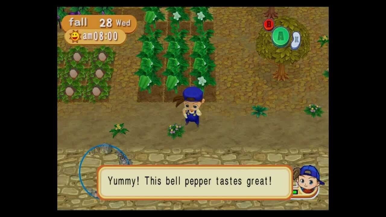 Harvest Moon: Magical Melody thumbnail 2
