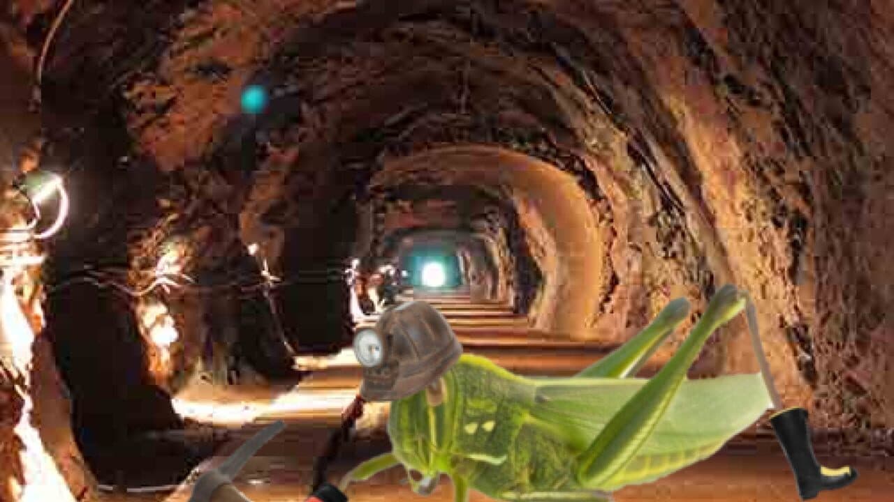Grasshopper Farm screenshot 1