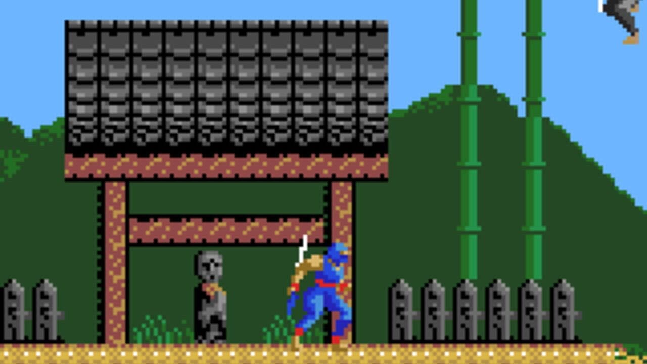 Ninja Gaiden thumbnail 4