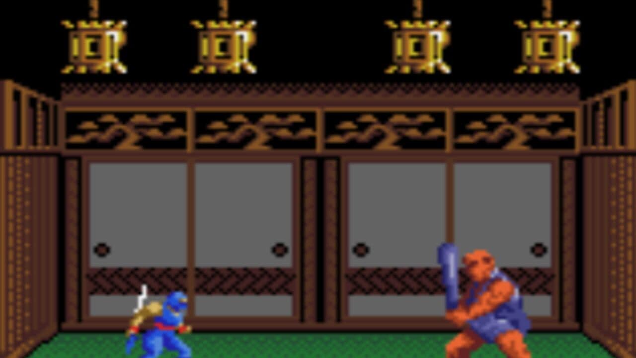 Ninja Gaiden thumbnail 5