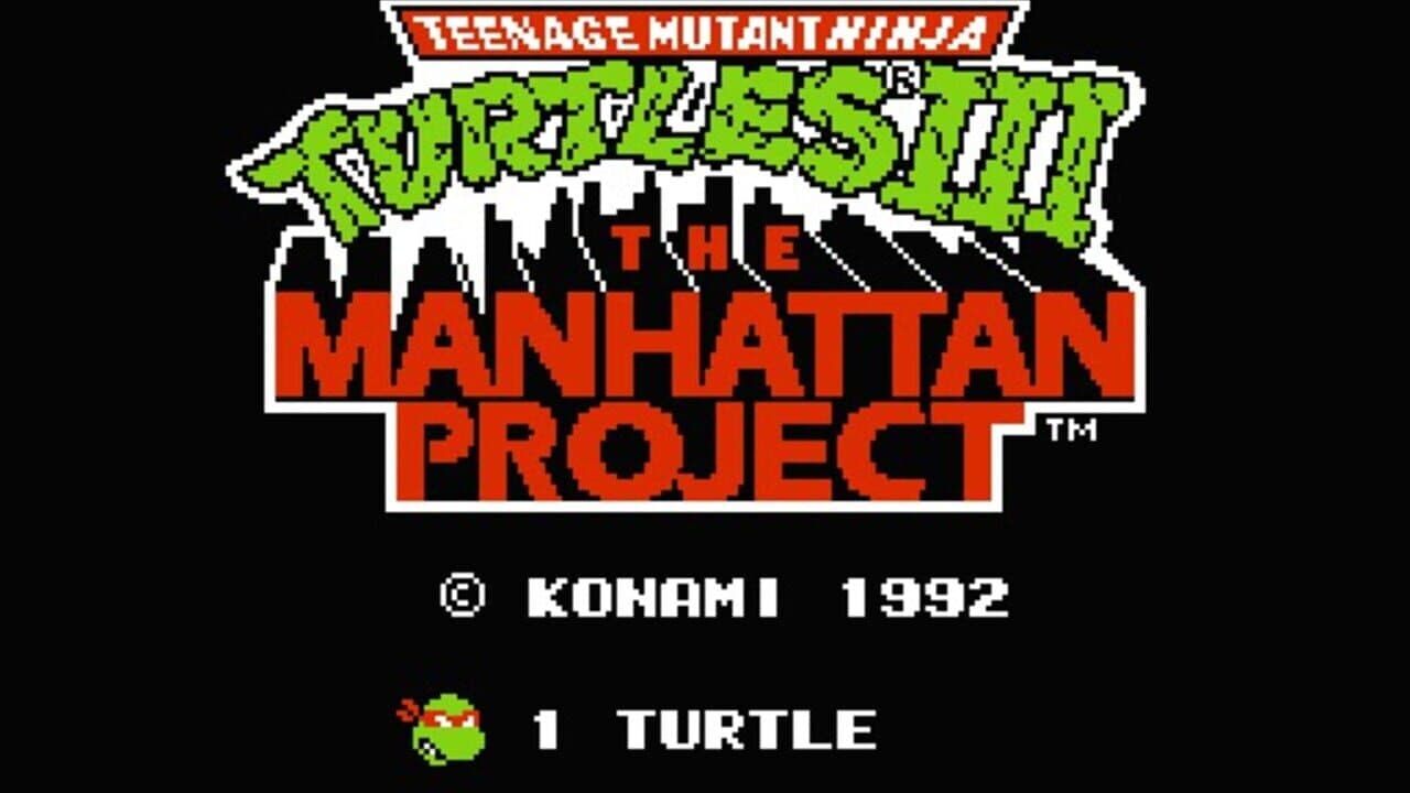 Teenage Mutant Ninja Turtles III: The Manhattan Project thumbnail 2