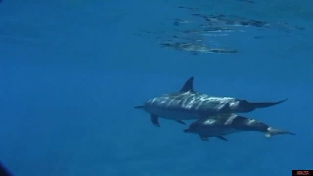Body Glove Bluewater Hunter thumbnail 2