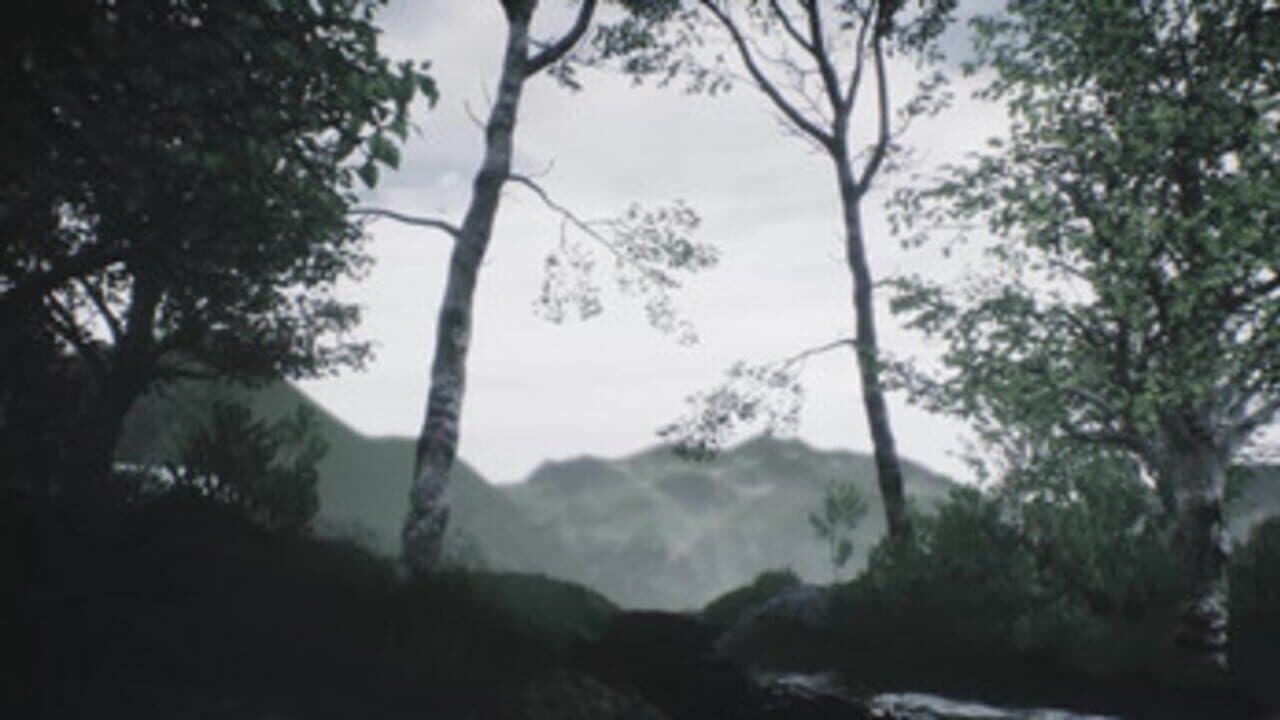Scenic Forest Valley thumbnail 3