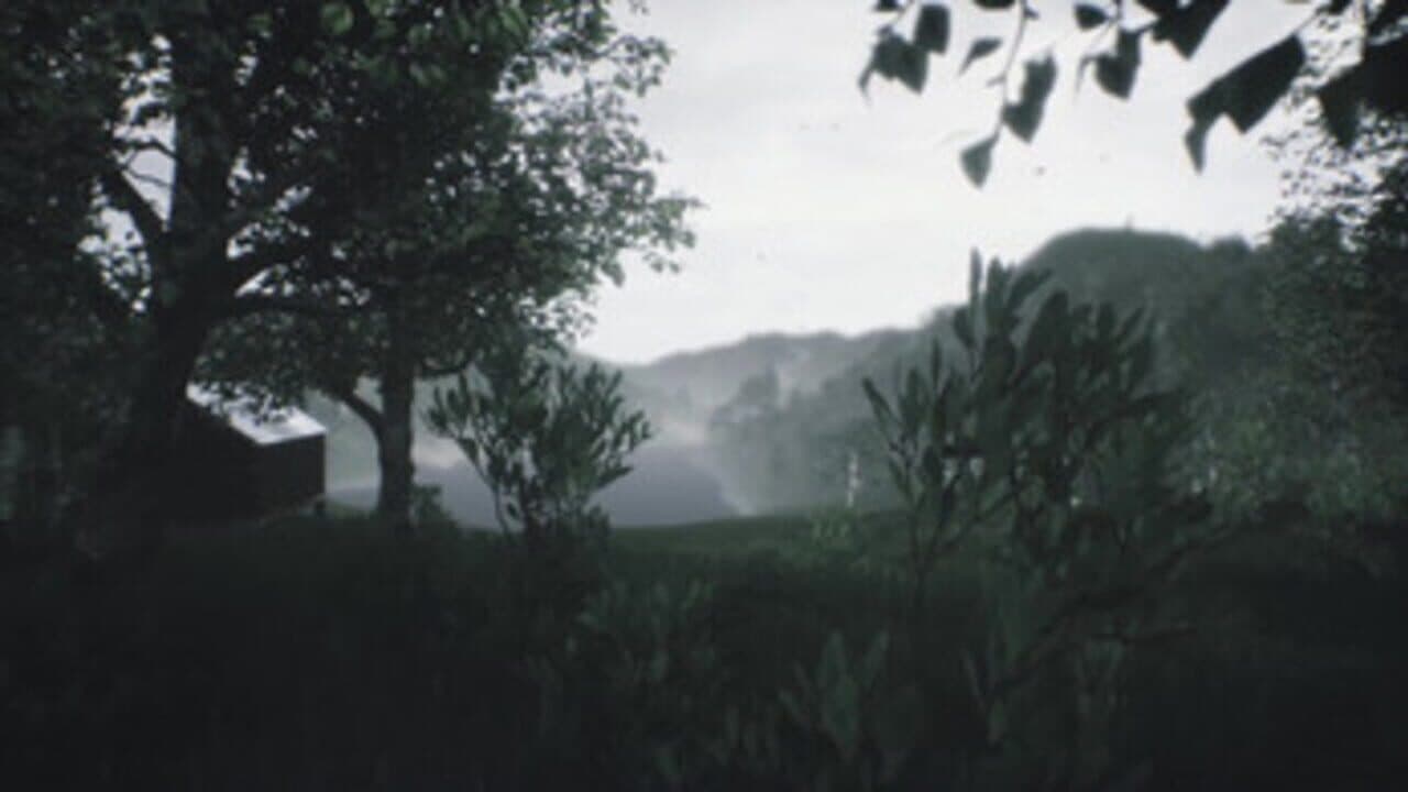 Scenic Forest Valley thumbnail 2