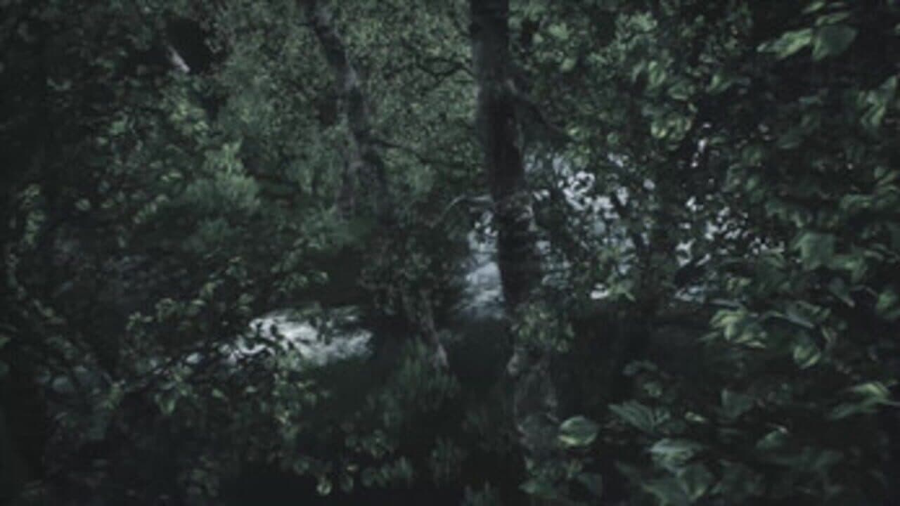 Scenic Forest Valley thumbnail 4