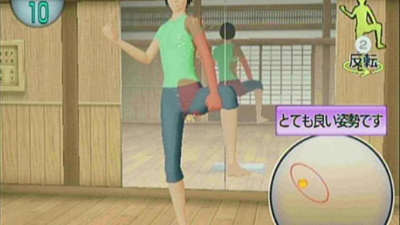 Isometric & Karate Exercise: Wii de Kotsuban Fitness thumbnail 2