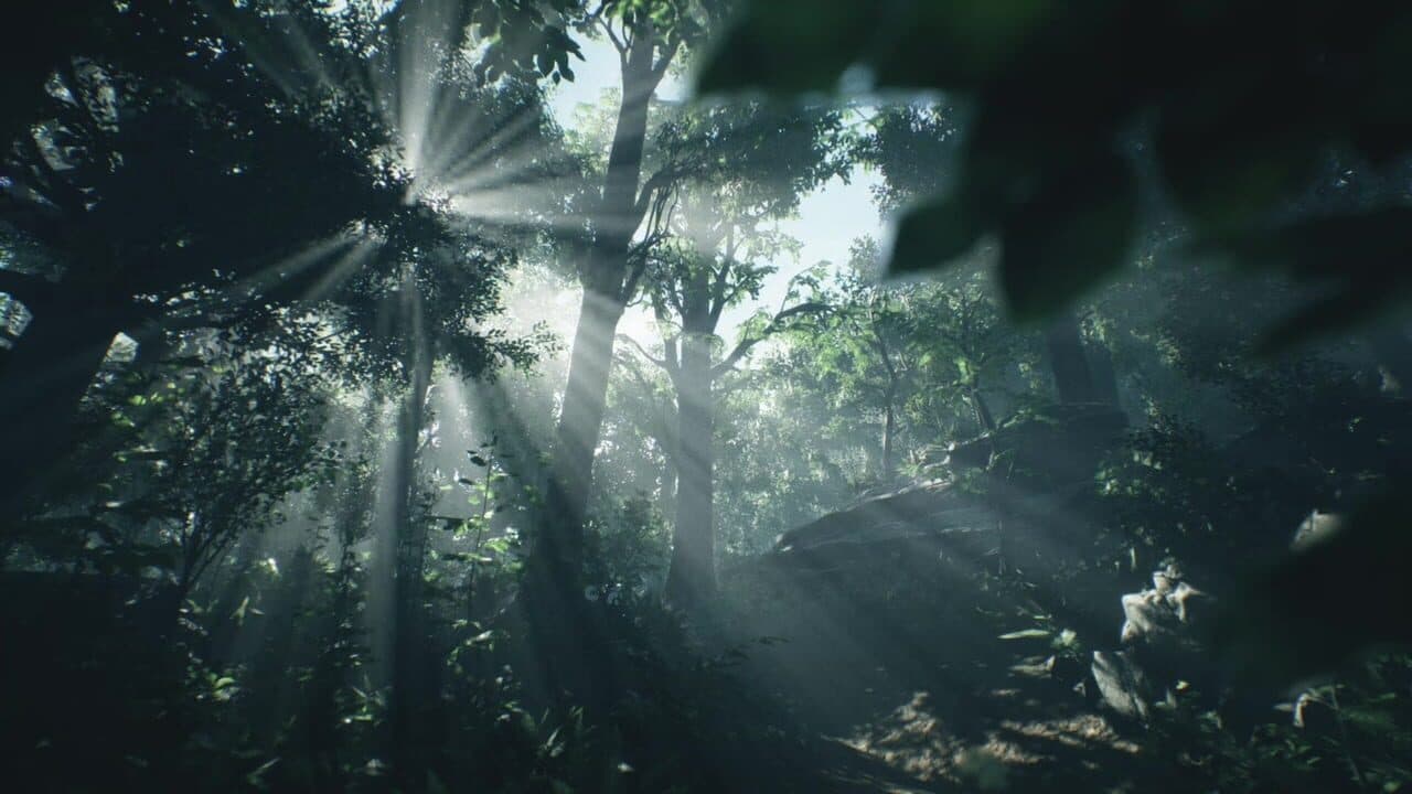 Wakamarina Valley, New Zealand screenshot 1