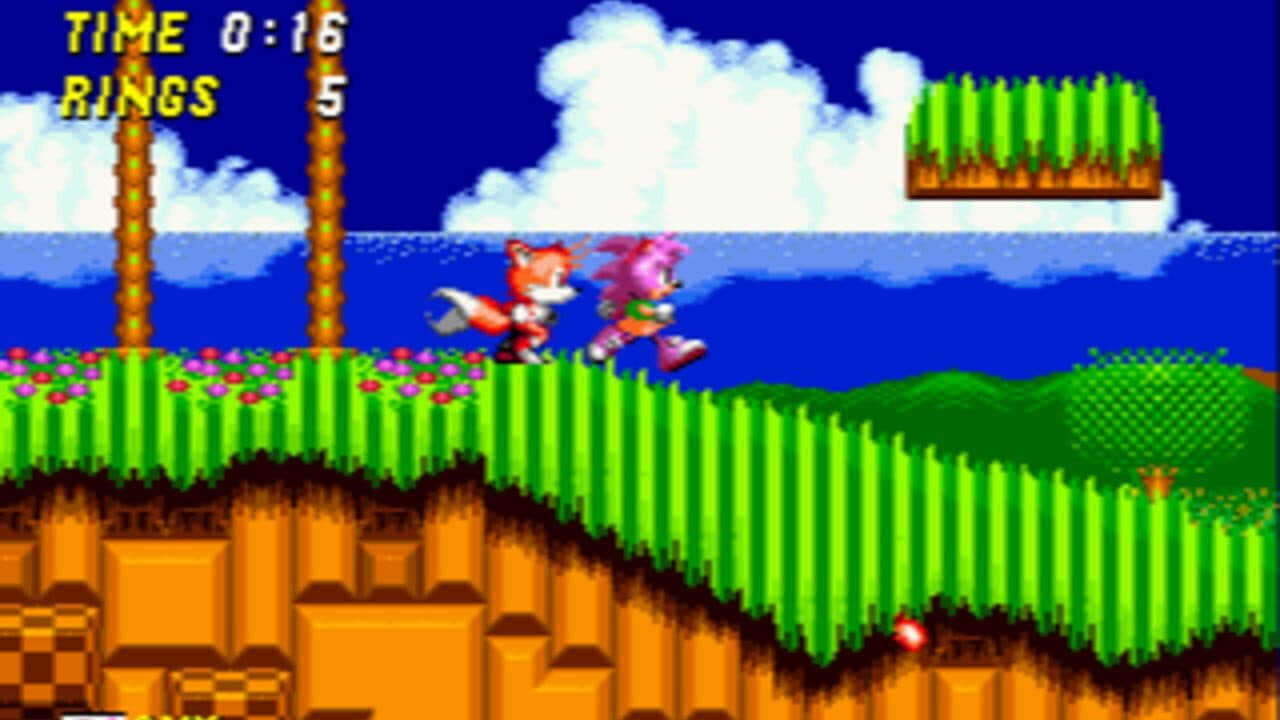 Amy Rose in Sonic the Hedgehog 2 thumbnail 3