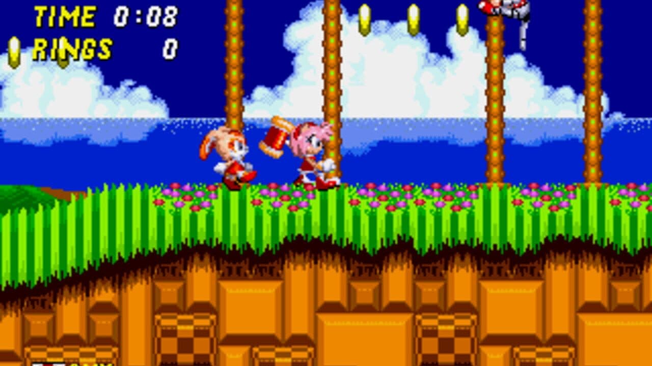 Sonic the Hedgehog 2: Pink Edition thumbnail 3