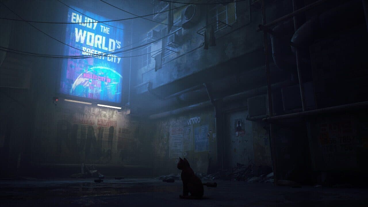 Stray thumbnail 2