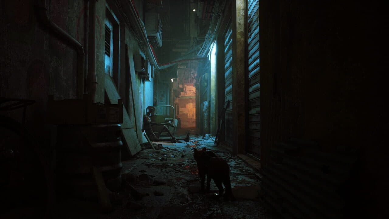 Stray thumbnail 5