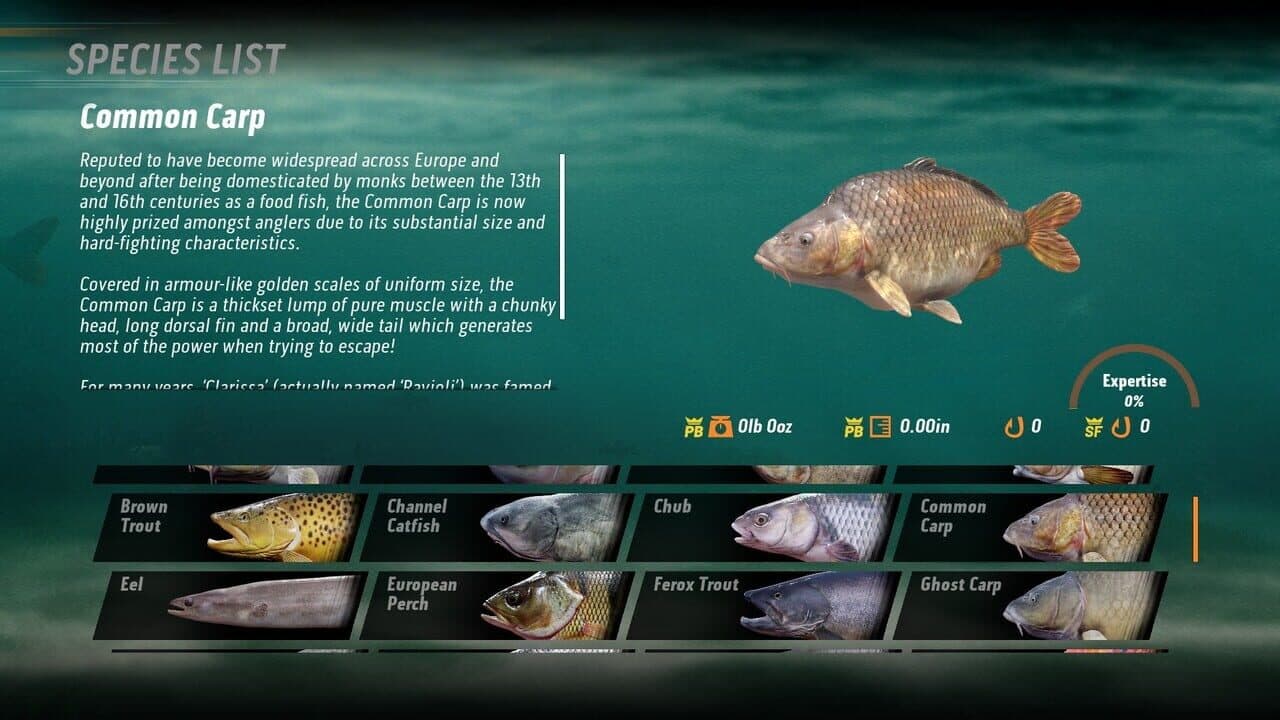 The Catch: Carp & Coarse Fishing thumbnail 4