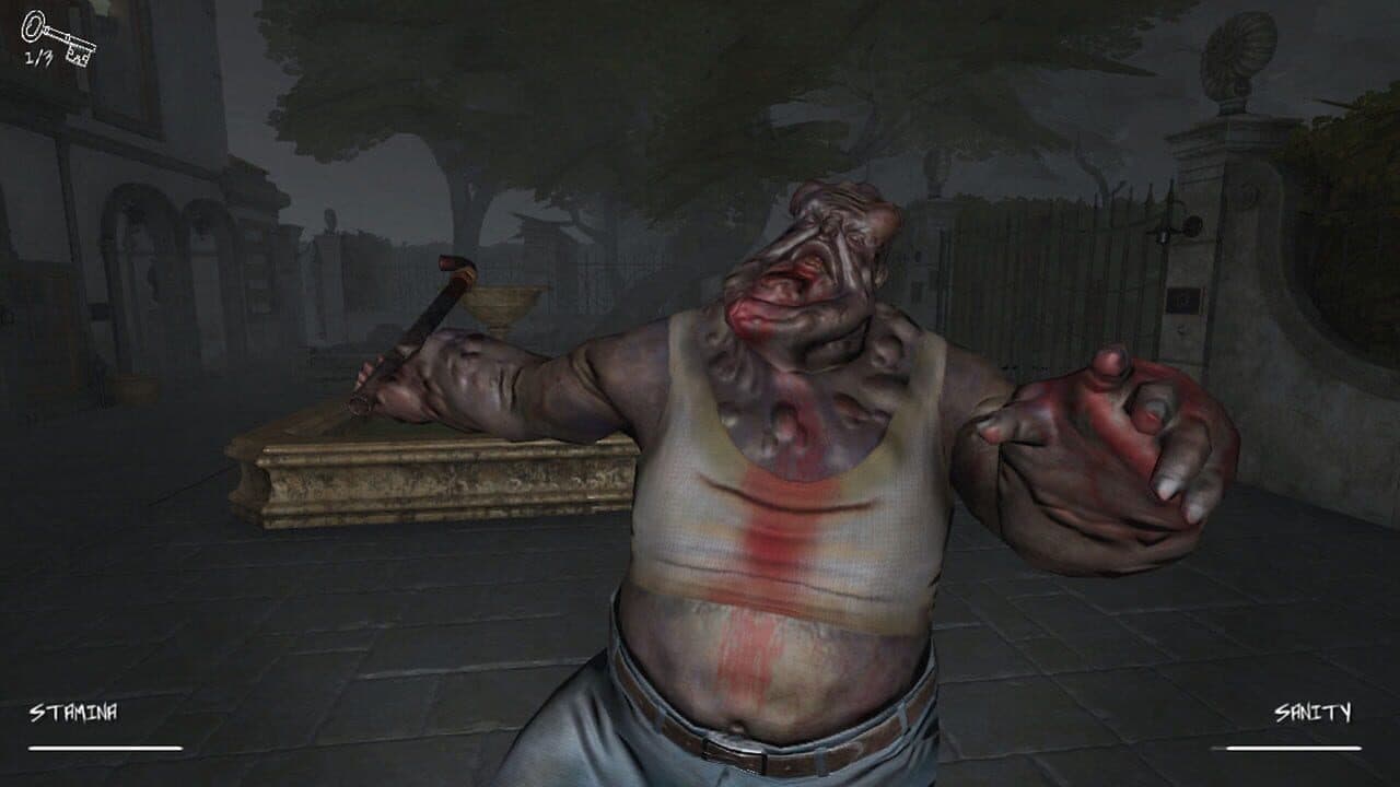 Hidden screenshot 1
