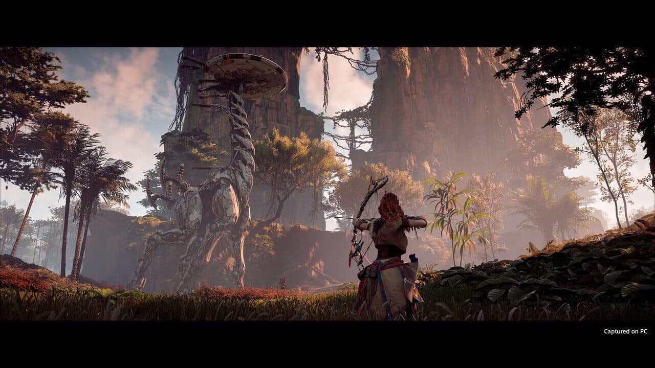 Horizon Zero Dawn: Complete Edition thumbnail 3