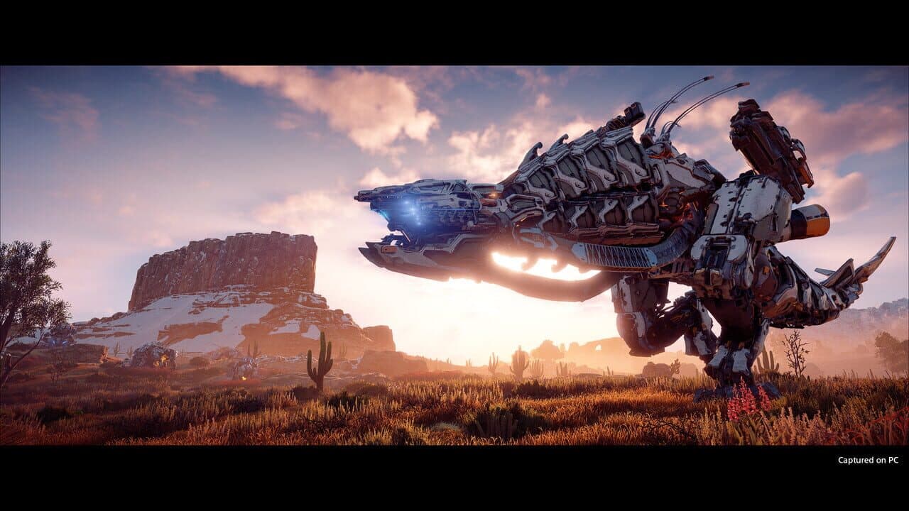 Horizon Zero Dawn: Complete Edition thumbnail 5