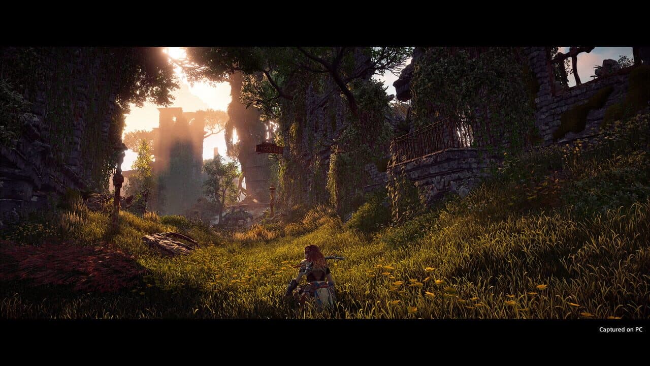 Horizon Zero Dawn: Complete Edition thumbnail 2