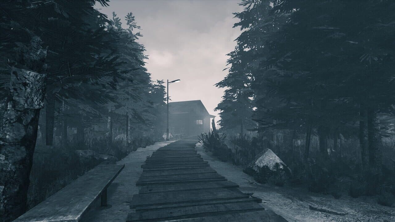 In Plain Sight thumbnail 2