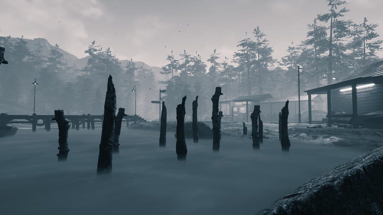 In Plain Sight thumbnail 5