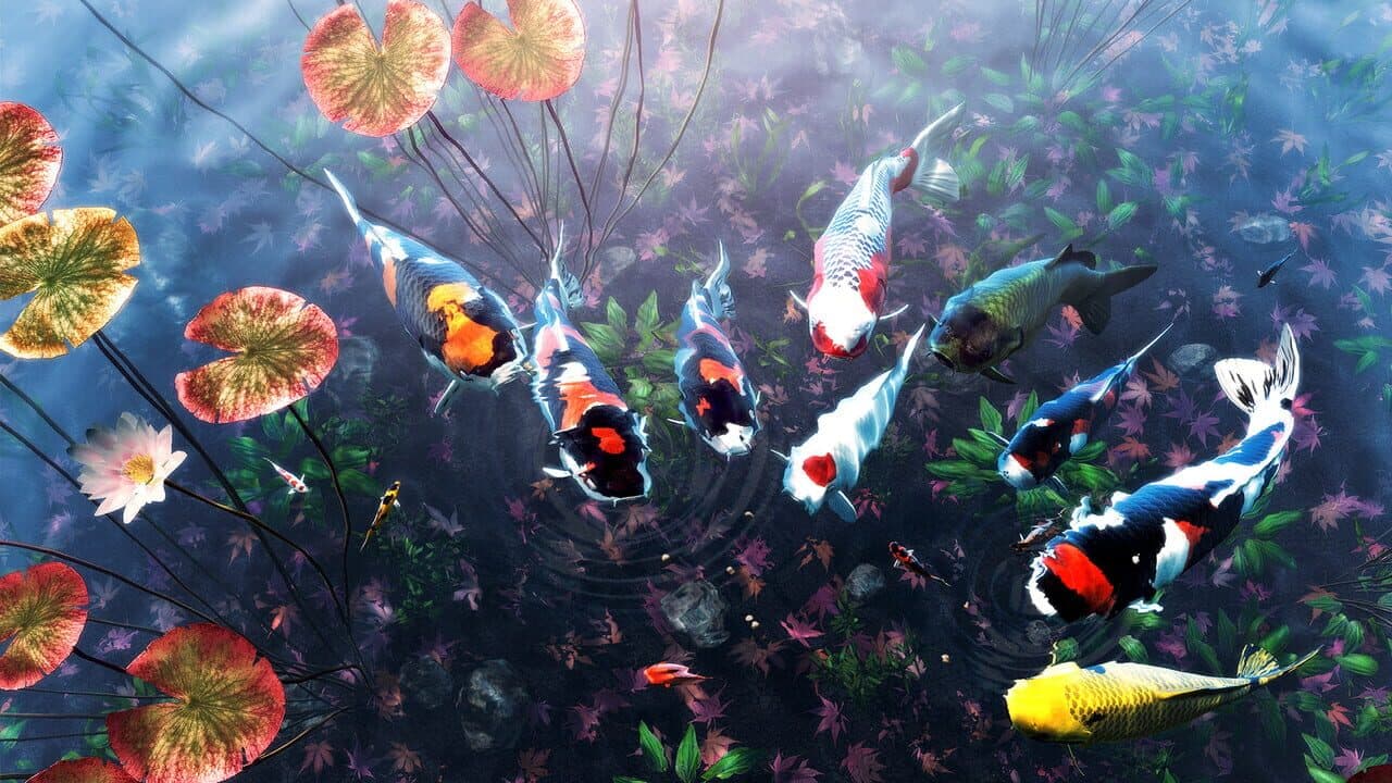 My Koi thumbnail 4