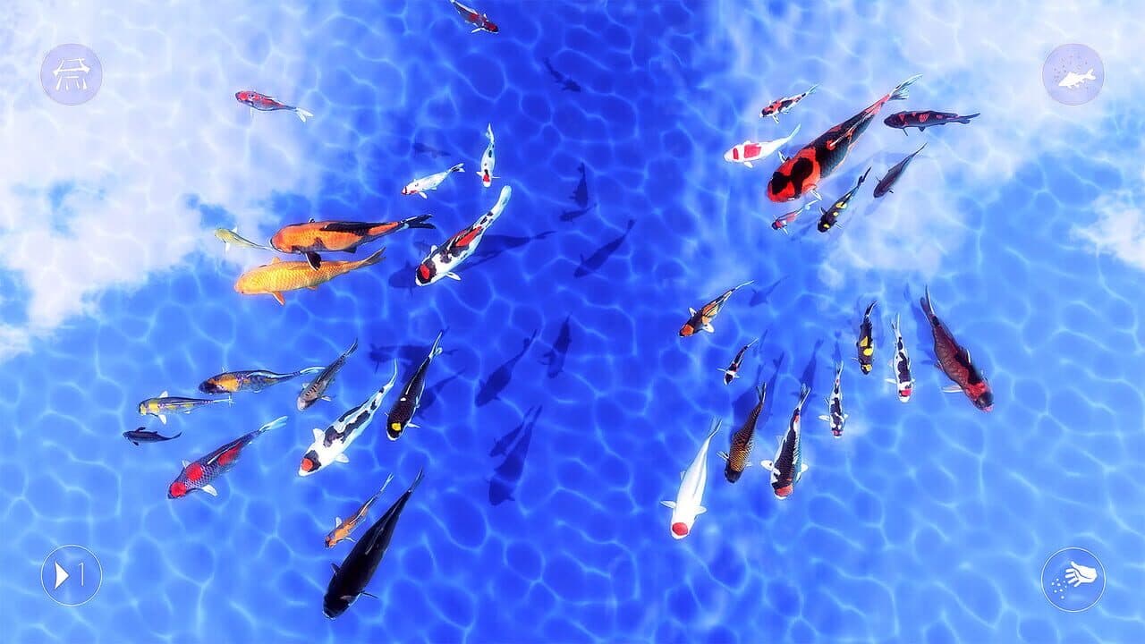 My Koi thumbnail 6
