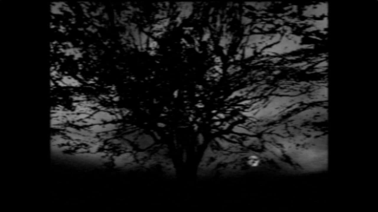 The Night Journey thumbnail 8