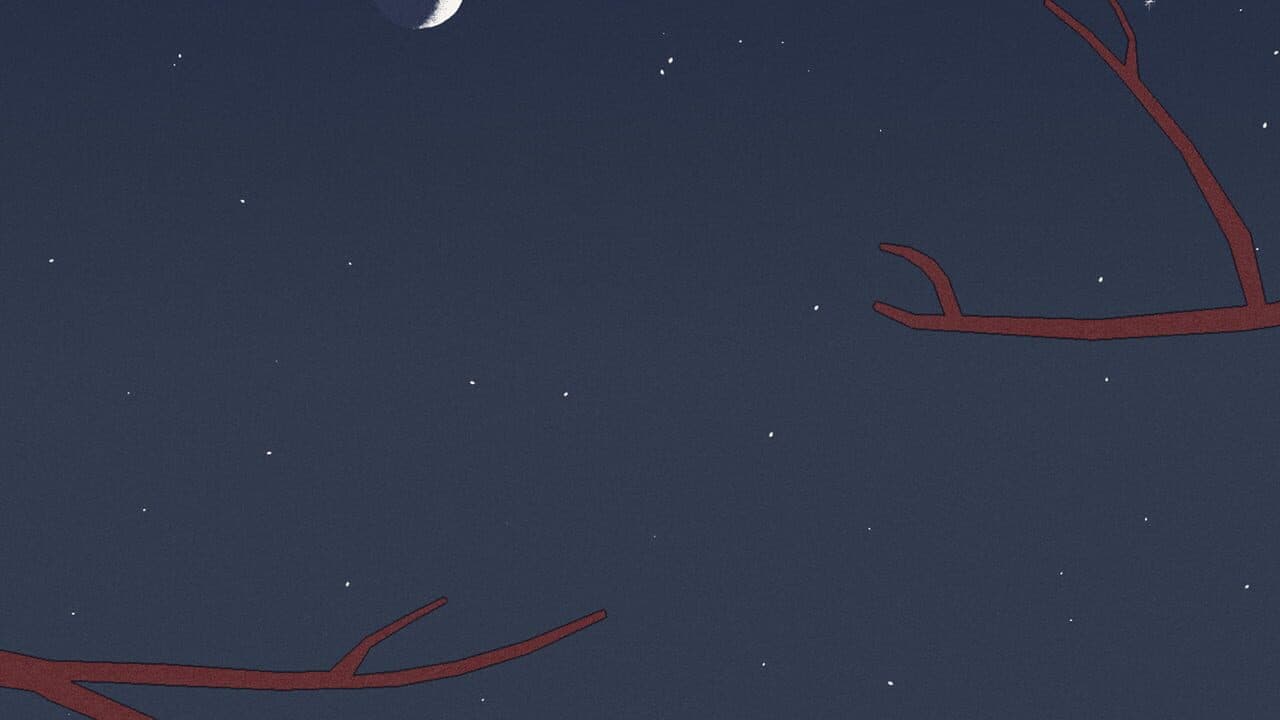Bird Alone thumbnail 5
