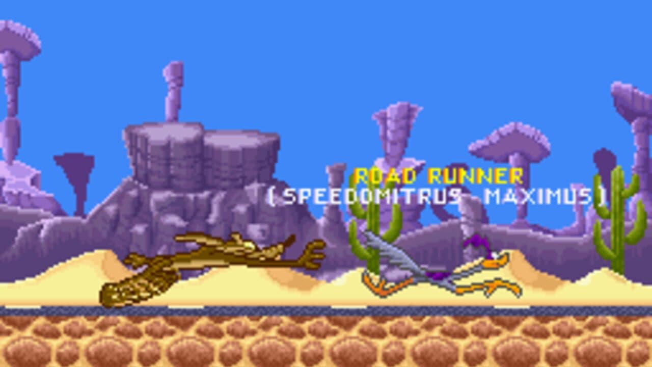 Road Runner's Death Valley Rally thumbnail 3