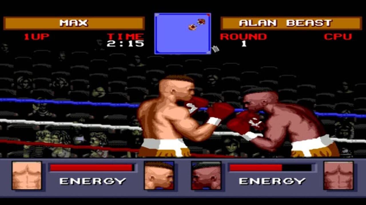 Evander Holyfield's Real Deal Boxing thumbnail 3