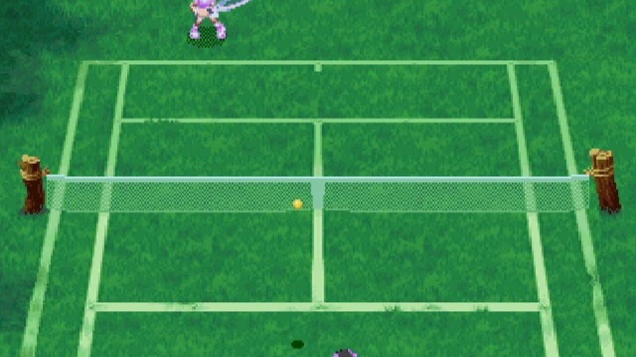 Netto de Tennis thumbnail 4