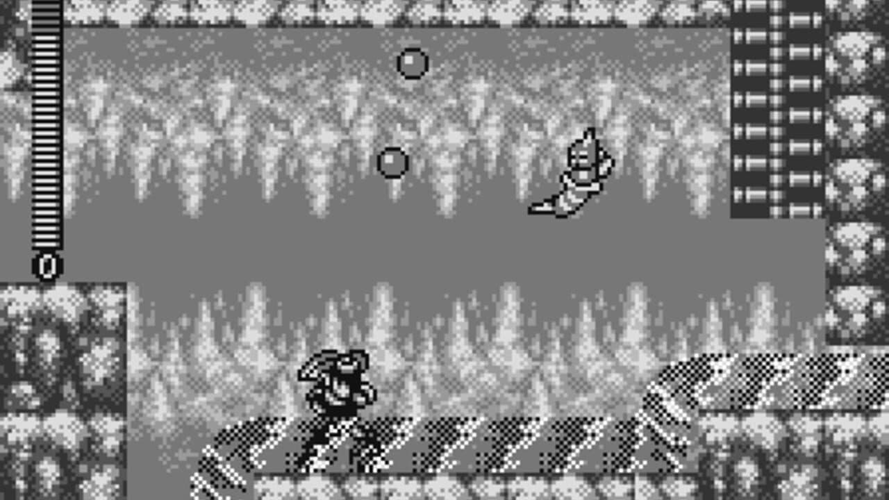 Rockman & Forte: Mirai kara no Chousensha thumbnail 4