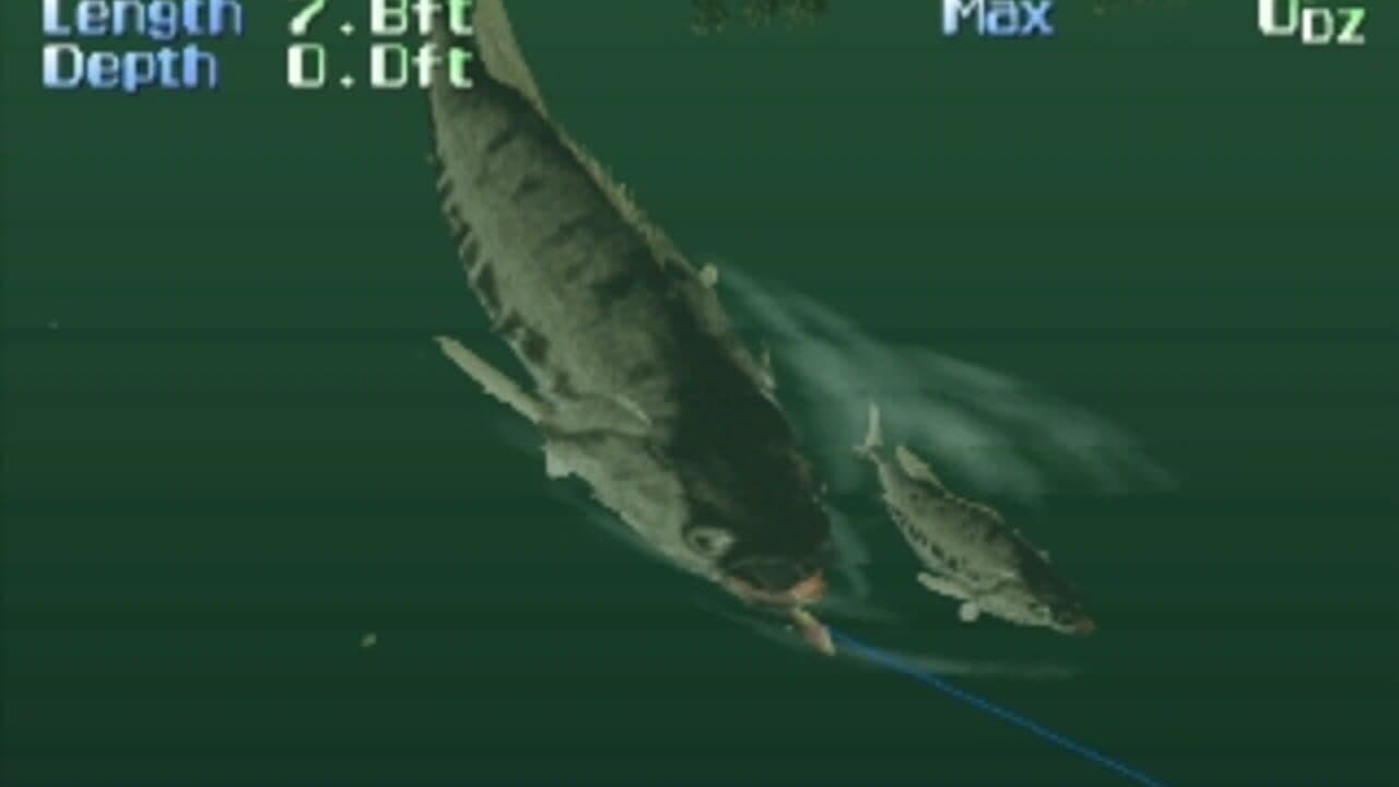 Action Bass thumbnail 2