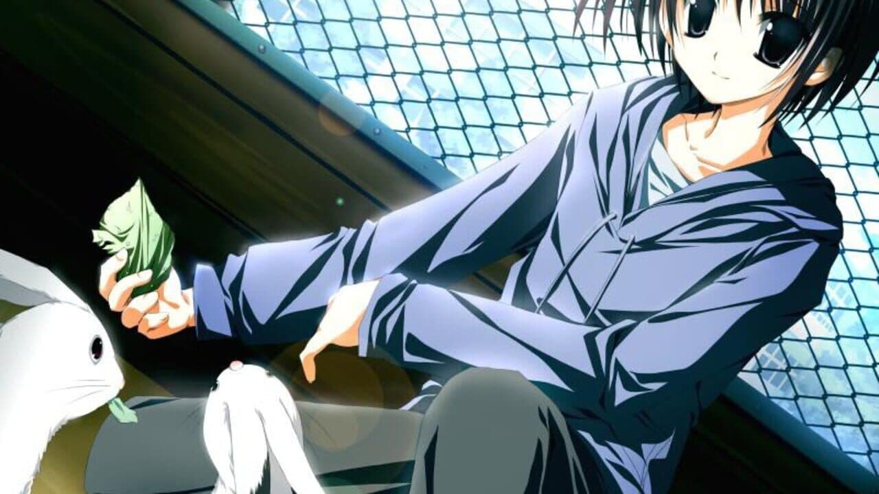 Supreme Candy: Oudou ni wa Oudoutaru Riyuu ga Arun Desu! thumbnail 5