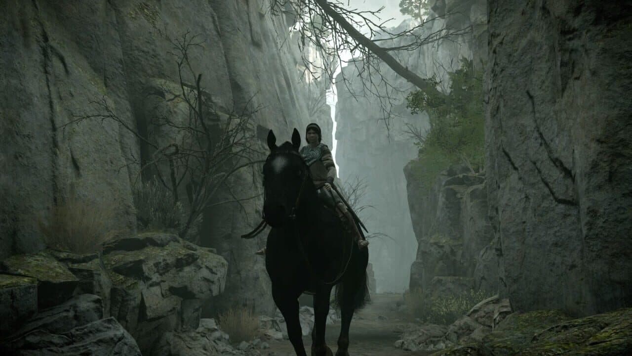 Shadow of the Colossus: Special Edition thumbnail 9