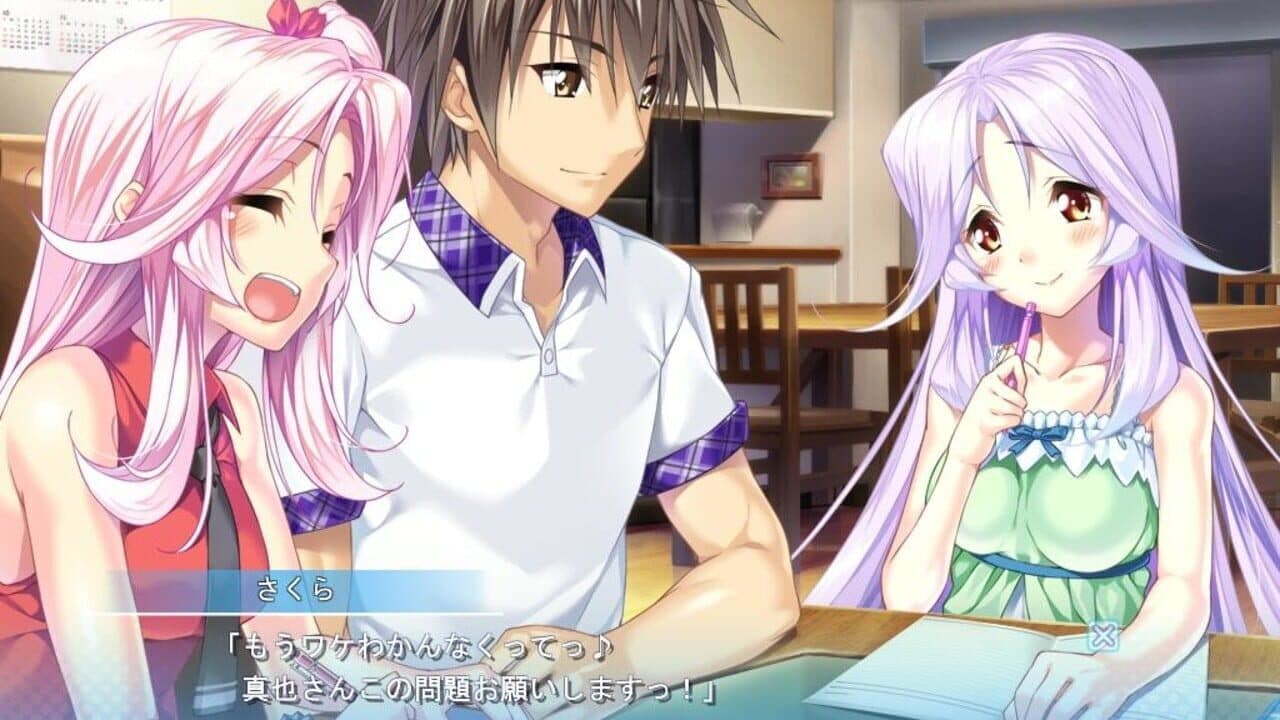 Aozora Stripe thumbnail 5