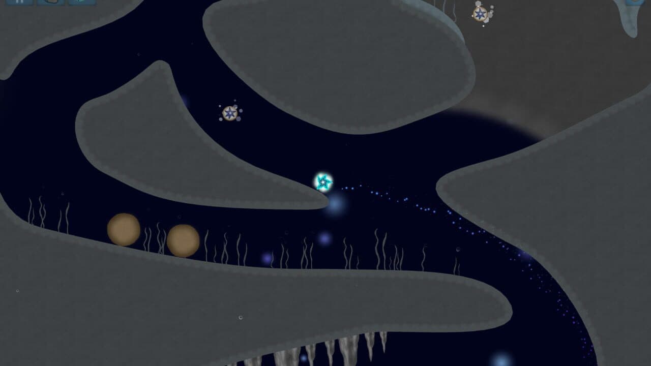 Asteroidea thumbnail 4