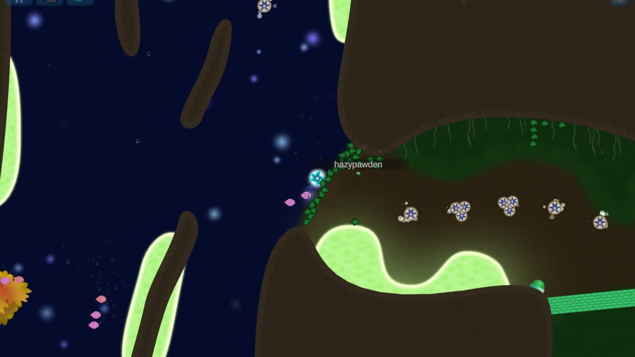 Asteroidea thumbnail 5