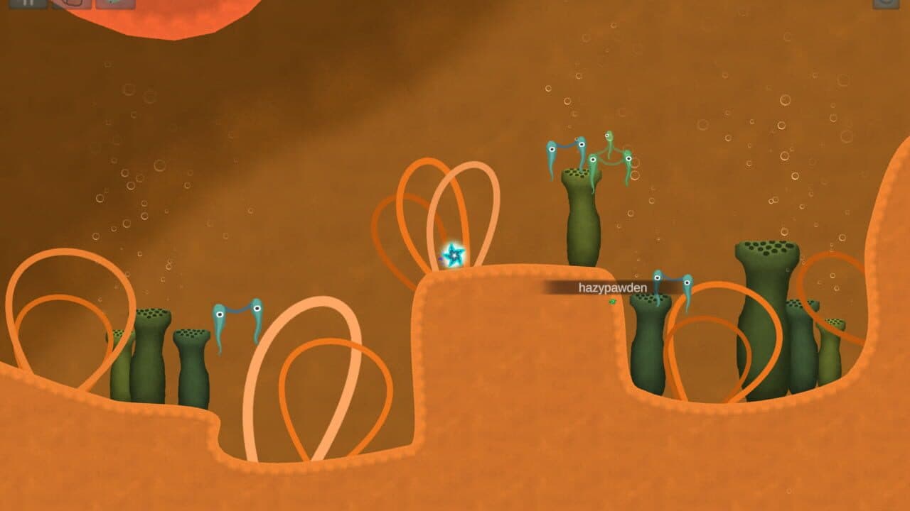 Asteroidea thumbnail 6