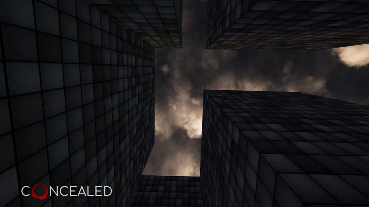 Concealed thumbnail 7