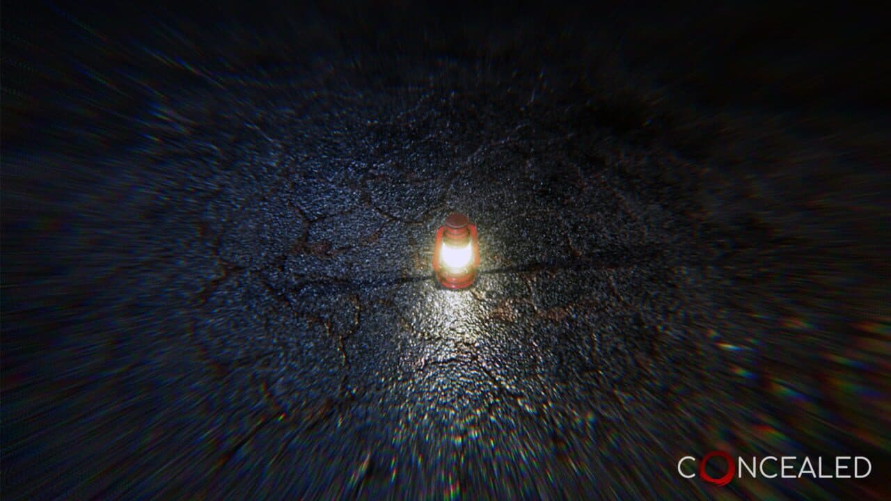 Concealed thumbnail 2