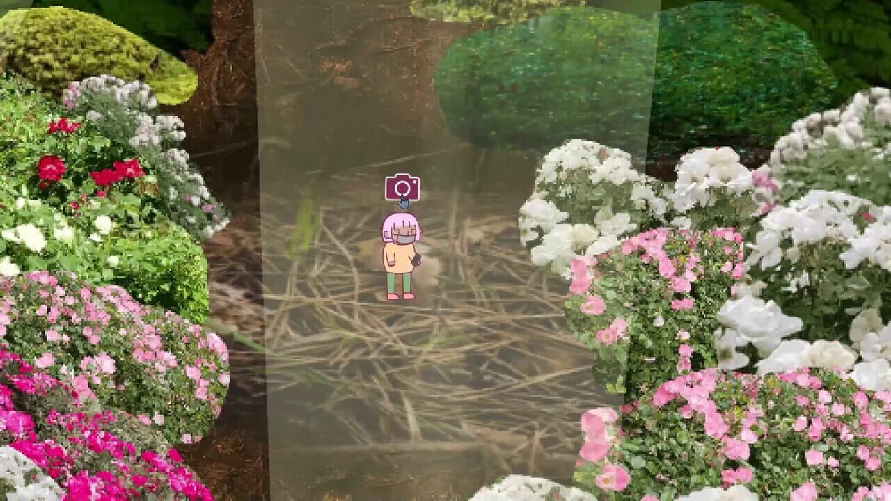 Tree Trunk Brook thumbnail 4