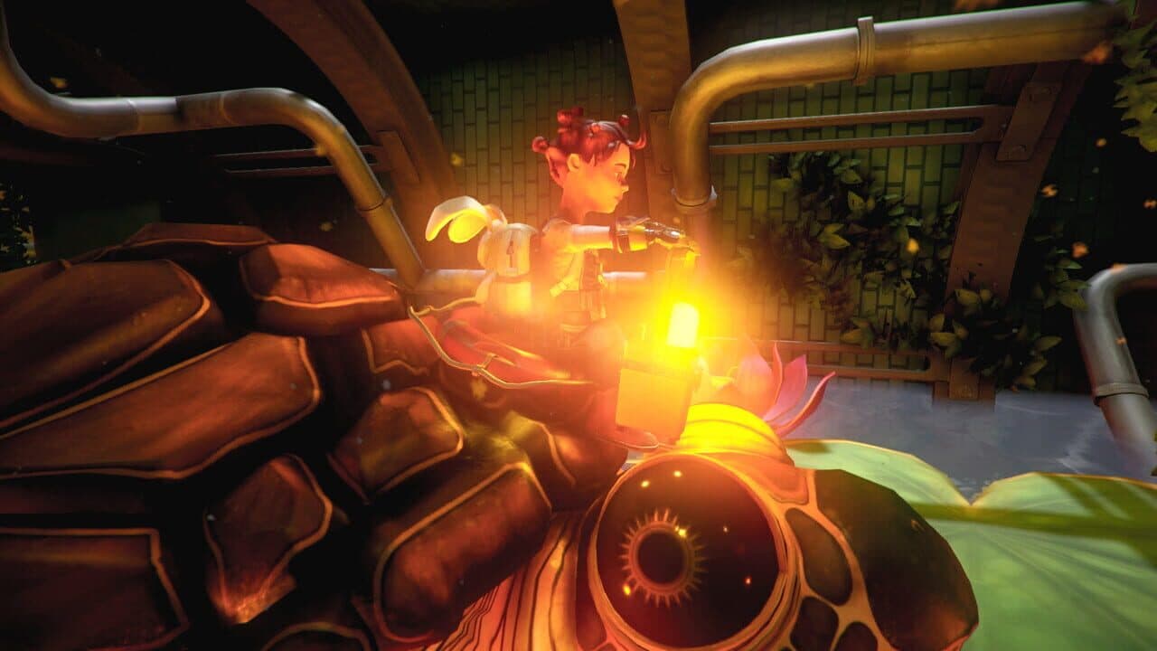 Kapia thumbnail 5
